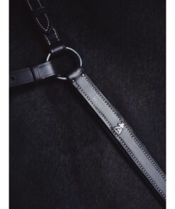 AEquipt Olympic Martingal