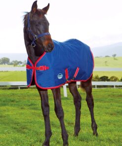 The WeatherBeeta 1200D Foal Standard Neck Medium II is waterproof and breathable with a 1200D ripstop outer with repel shell coating and a medium 220g polyfill