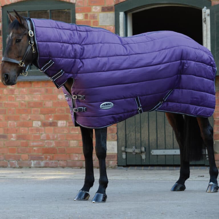 WeatherBeeta ComFiTec 210D Channel Quilt Combo Neck Heavy Stable Rug WeatherBeeta ComFiTec Quilted Rug WeatherBeeta ComFiTec Rug WeatherBeeta Quilt Stable Rug WeatherBeeta Stable Rug Stable Rug Combo Neck Rug Combo Neck Stable Rug WeatherBeeta Horse