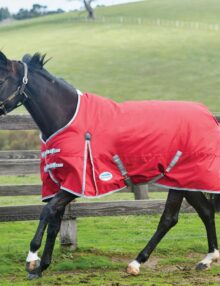 Weatherbeeta Comfitec Classic Standard Neck Medium 220g