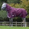 Weatherbeeta Comfitec Plus Dynamic II Detach-A-Neck Medium/Lite 100g